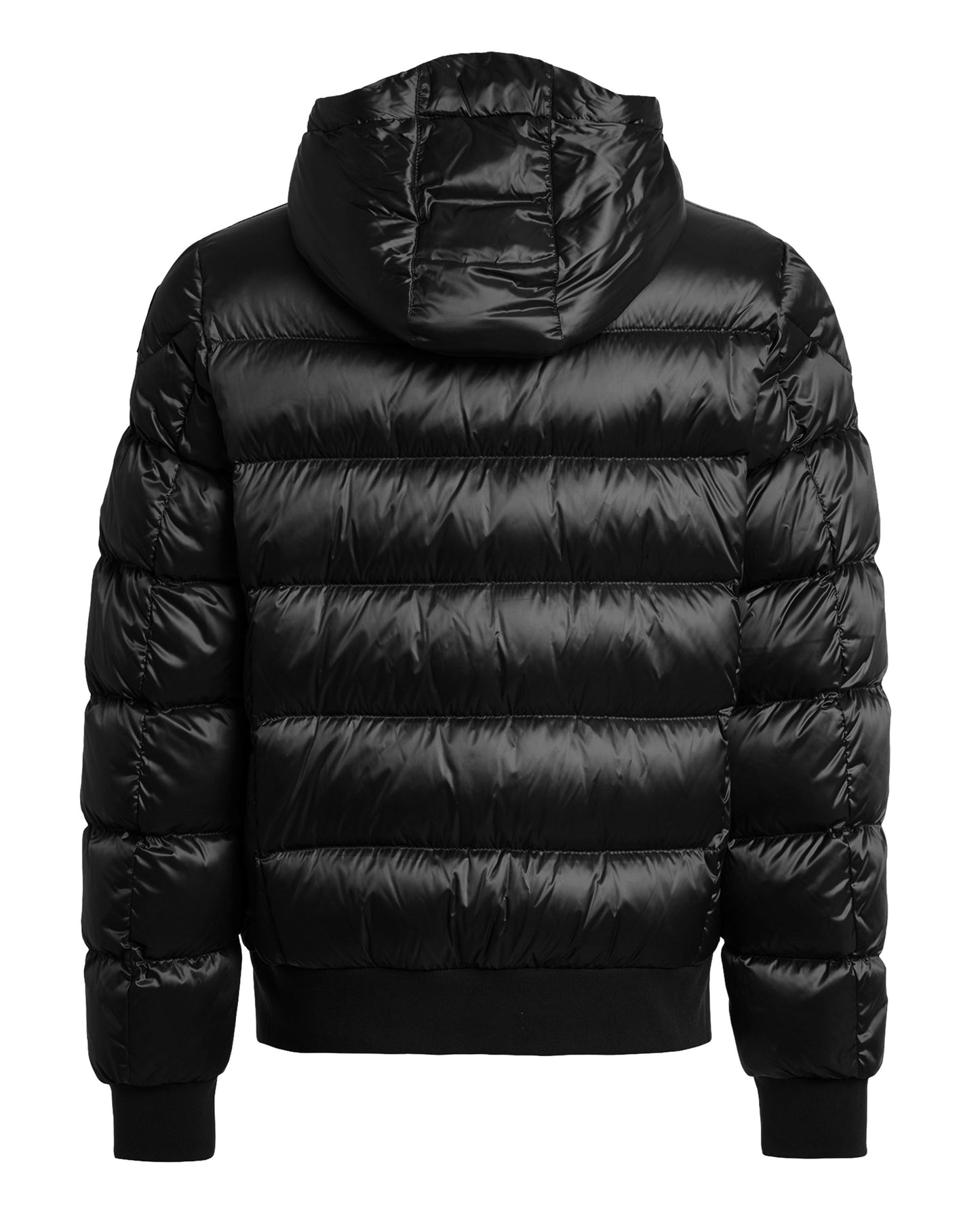 Pharrell Hooded Down Bomber