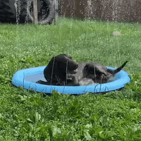 SplashPad™ FonteinMat | Plezier en Verkoeling voor Eindeloos Waterplezier