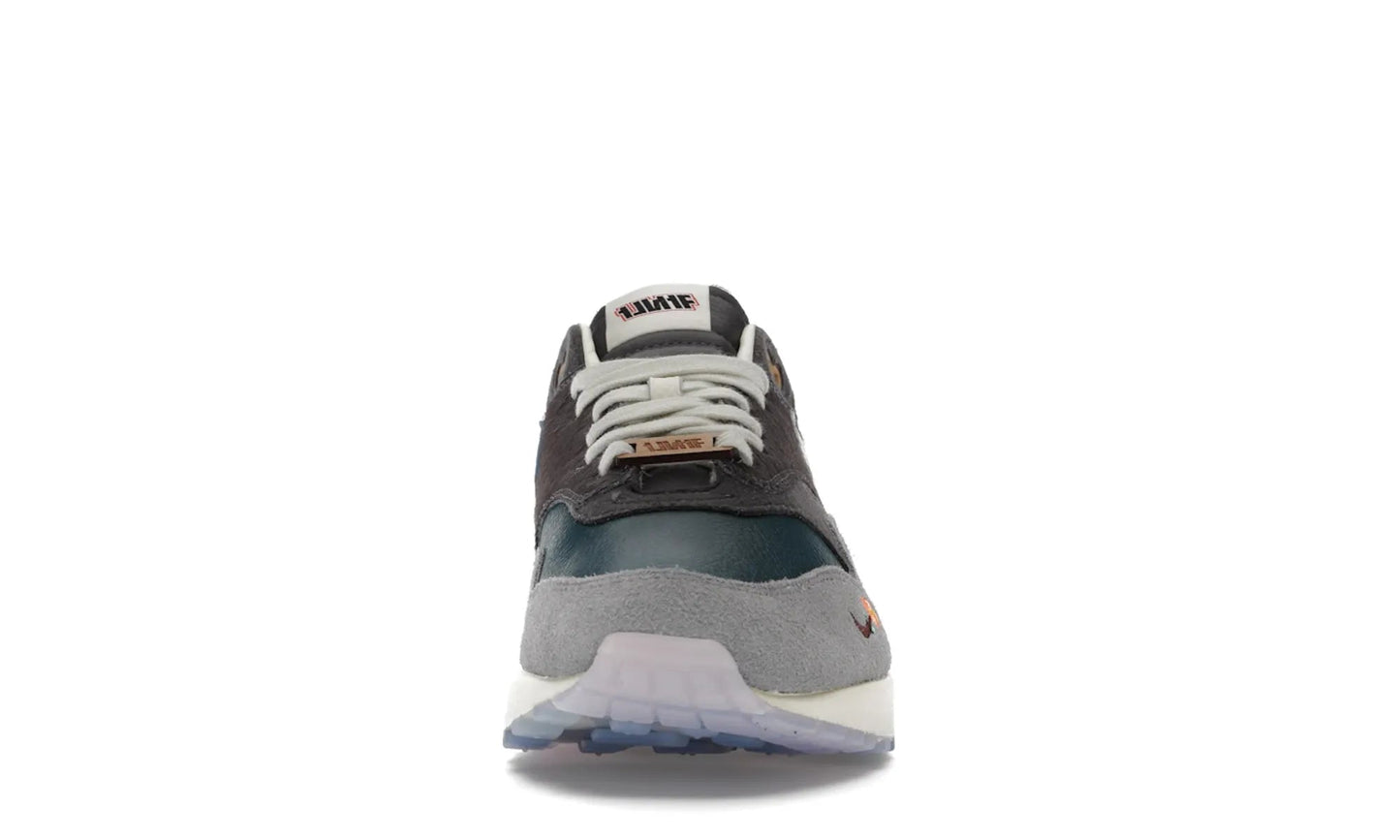 Nike Air Max 1 Kasina Won-Ang Grau