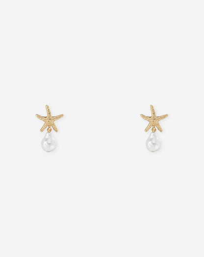 SMALL SEASTAR EARRINGS