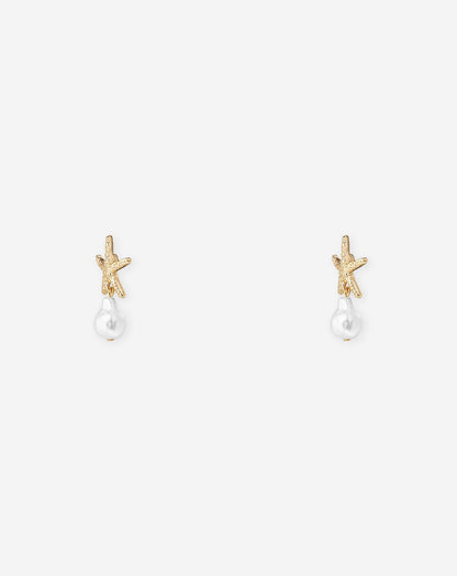 SMALL SEASTAR EARRINGS